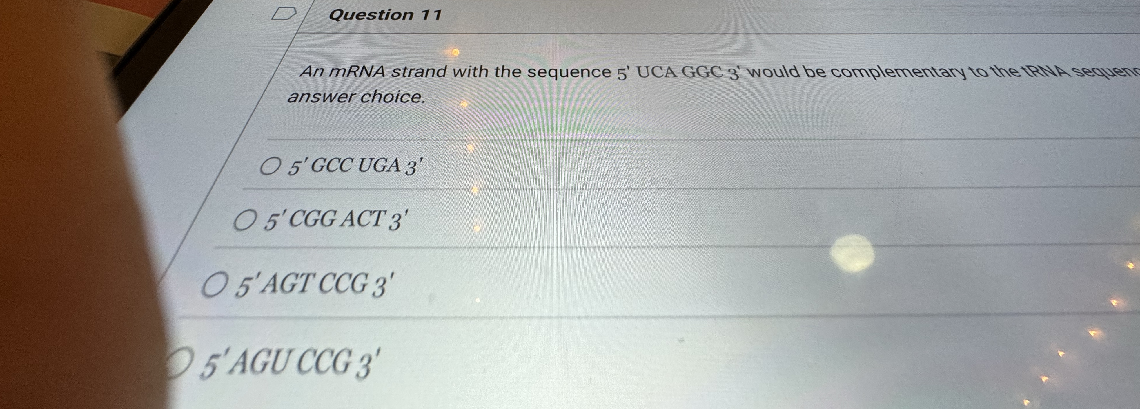 Solved Question 11An mRNA strand with the sequence 5 ' ﻿UCA | Chegg.com