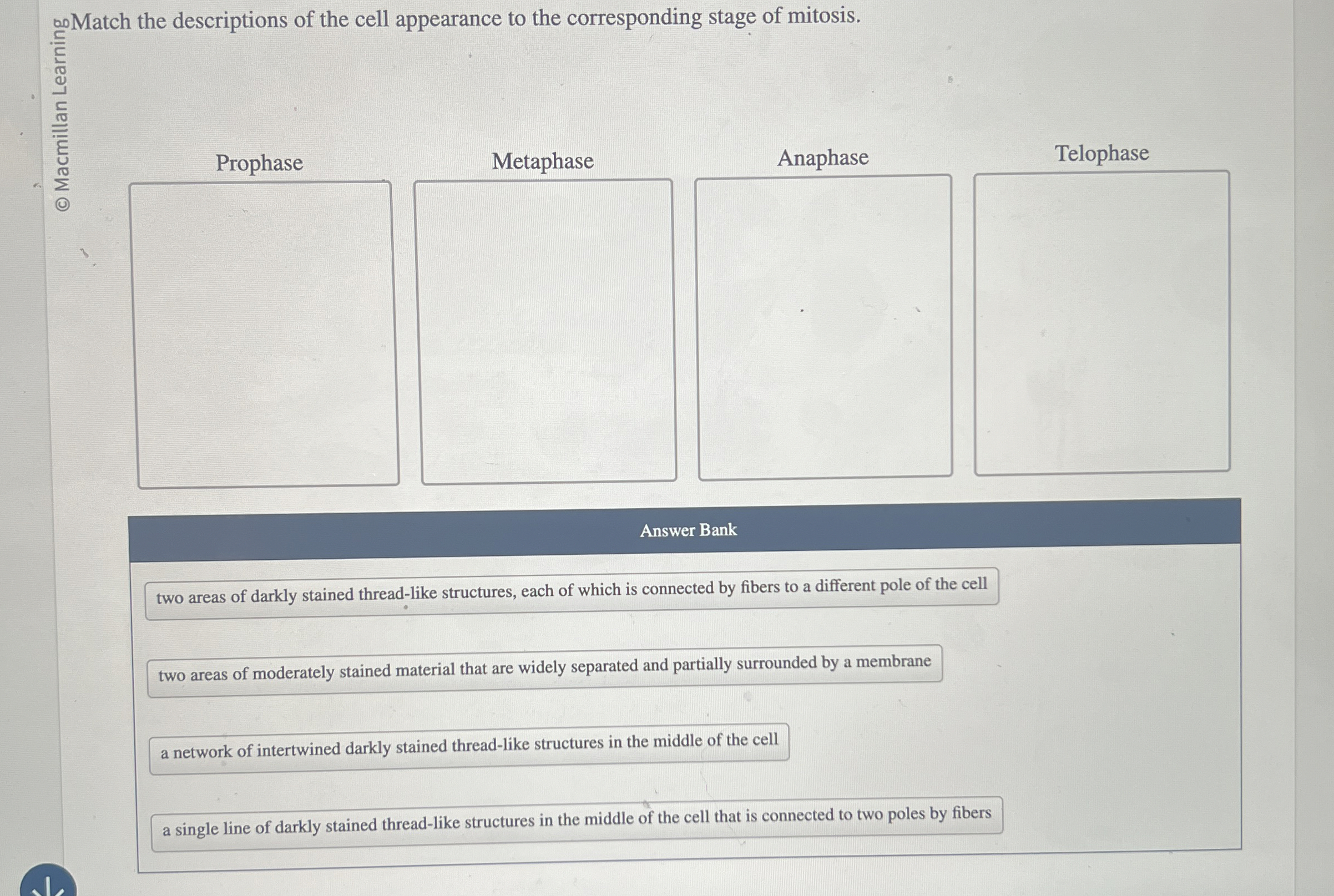 Solved ?∁∞ ﻿Match the descriptions of the cell appearance to | Chegg.com