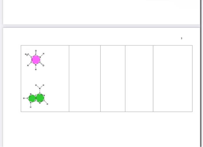 Solved Biomolecules Monomers and Polymers Use your notes