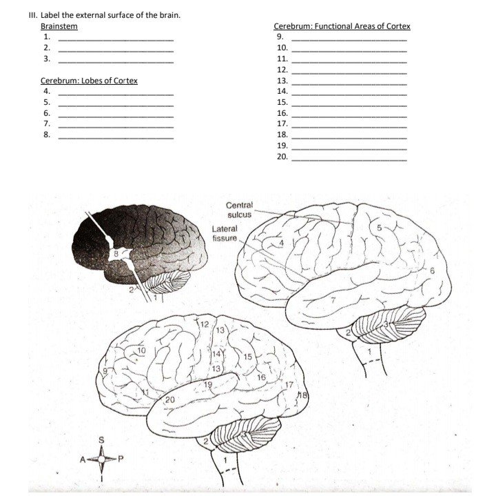 Solved II. Complete the table below. Cranial Nerve General | Chegg.com