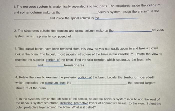 Solved 1 the nervous system is anatomically separated into chegg
