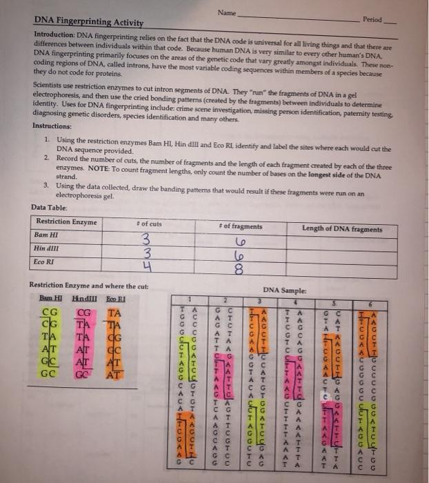 Fingerprinting Activity For High School Students