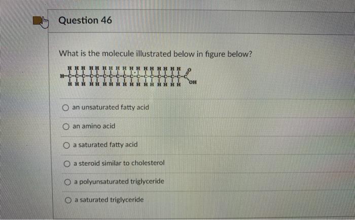 Solved Question 46 What is the molecule illustrated below in | Chegg.com