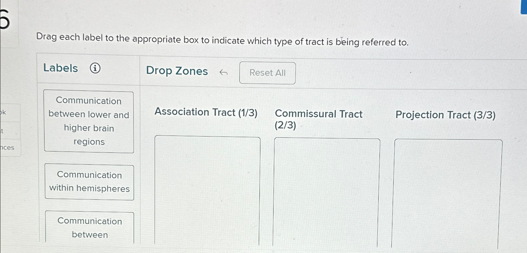 Solved Drag each label to the appropriate box to indicate | Chegg.com image.