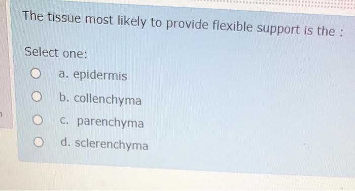 Solved The tissue most likely to provide flexible support is 
