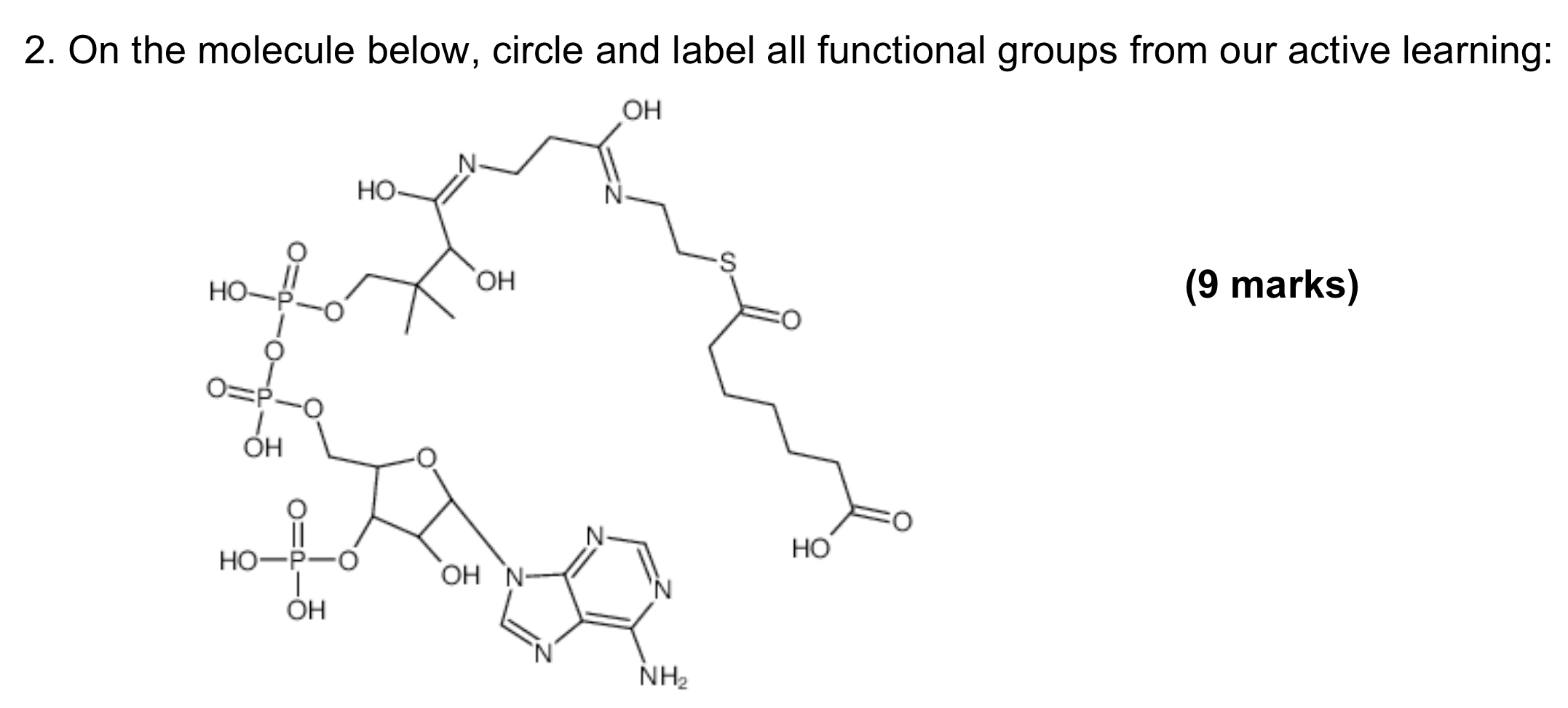 Solved On the molecule below, circle and label all | Chegg.com