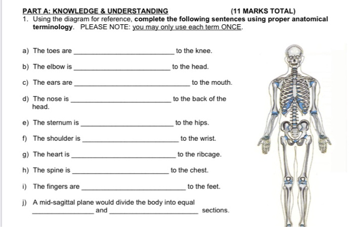 Solved Part A Knowledge Understanding 11 Marks Total Chegg Com