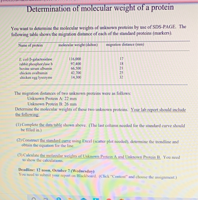 Solved Determination of molecular weight of a protein You | Chegg.com