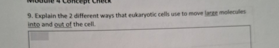 Solved Explain the 2 ﻿different ways that eukaryotic cells | Chegg.com