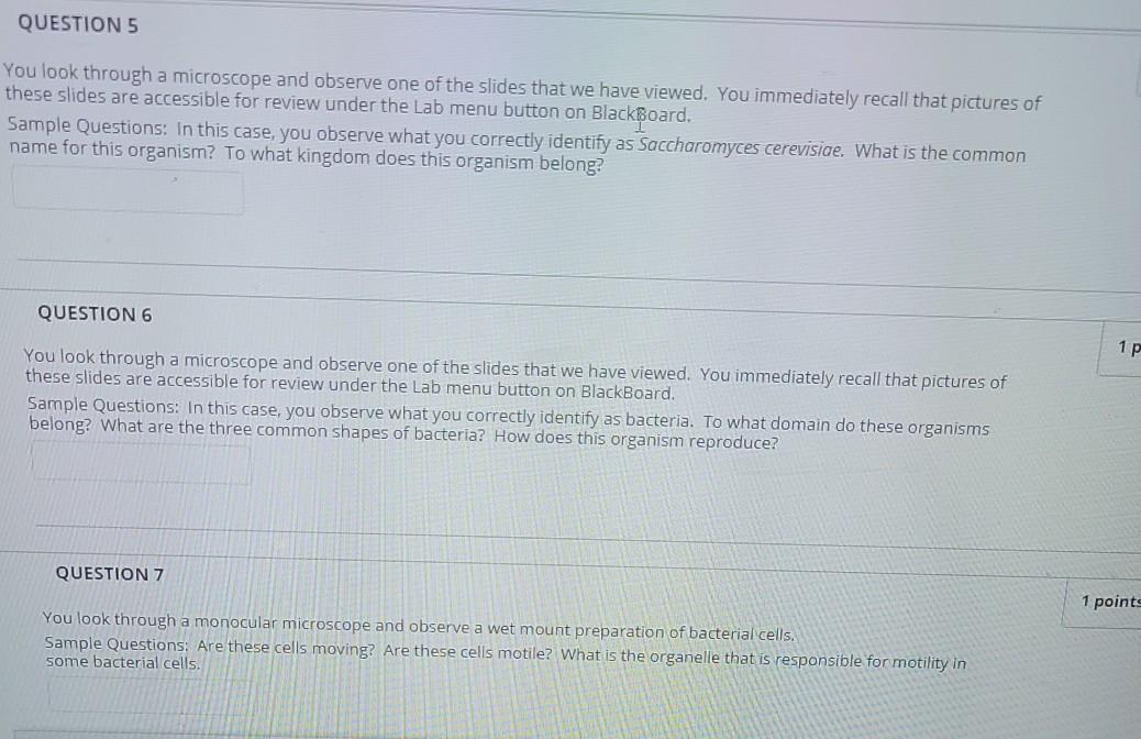 Solved QUESTION 5 You look through a microscope and observe | Chegg.com