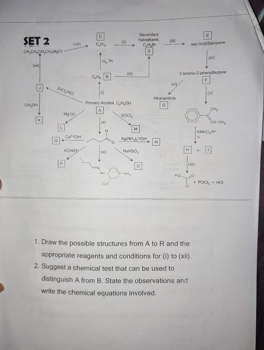 Solved 1. Draw the possible structures from A to R and the | Chegg.com