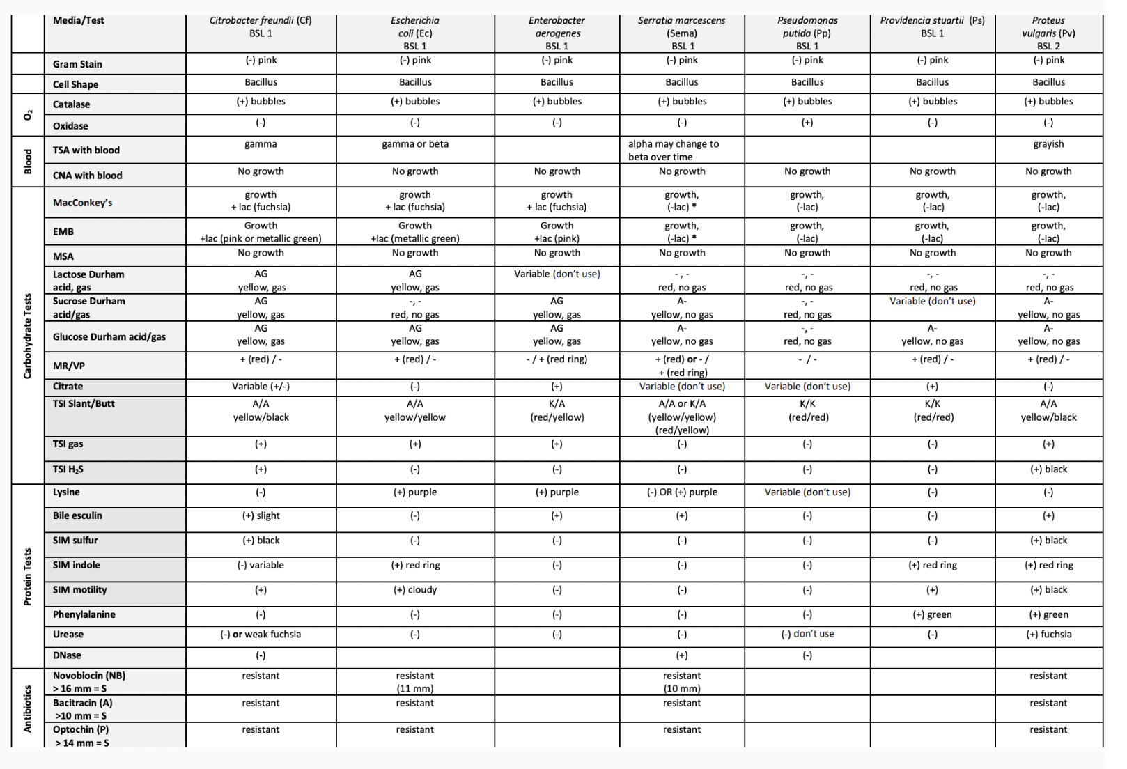 Solved gram negative flow chart c.freundi, e.coli, | Chegg.com