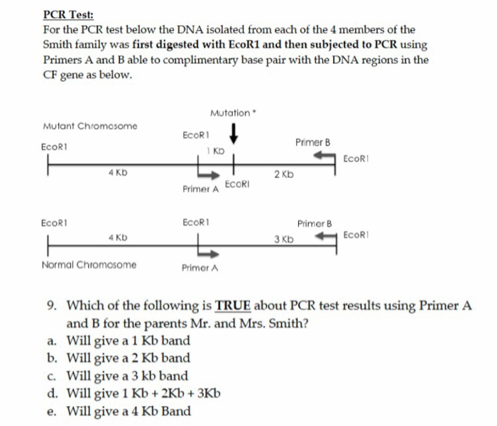 Solved PCR Test: For the PCR test below the DNA isolated | Chegg.com