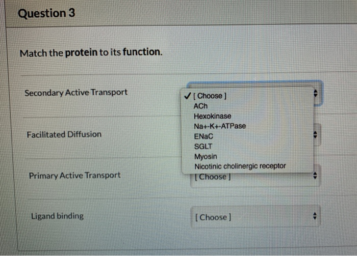 Solved Match The Protein To Its Function. Please Answer With | Chegg.com