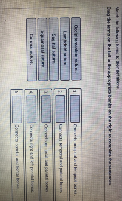 Solved Match the following terms to their definitions. Drag | Chegg.com