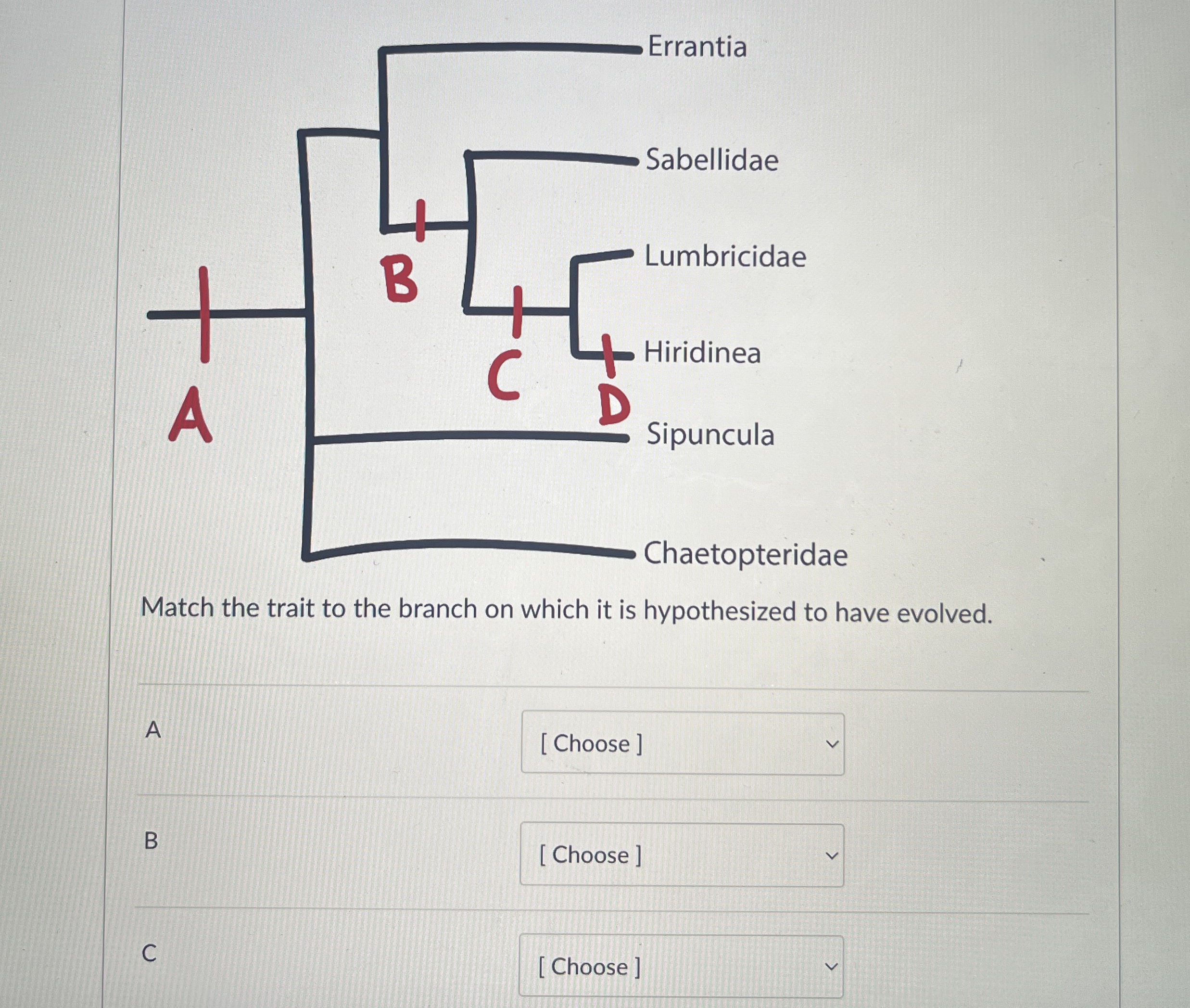 Solved Match the trait to the branch on which it is | Chegg.com