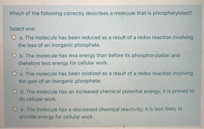 Solved Which of the following correctly describes a molecule | Chegg.com