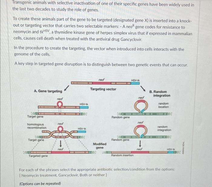 Solved a Transgenic animals with selective inactivation of | Chegg.com