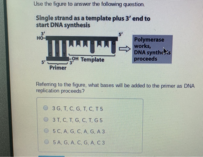 Solved Use The Figure To Answer The Following Question S Chegg Com