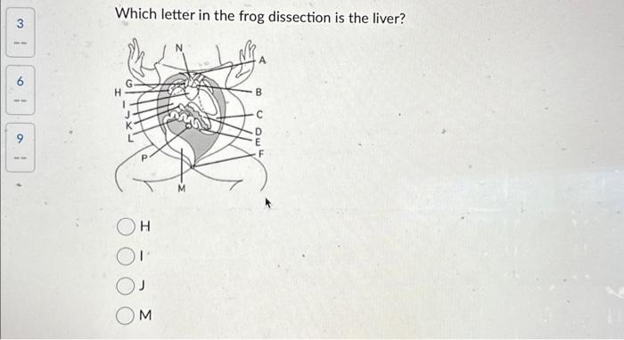 Solved Which letter in the frog dissection is the liver? | Chegg.com