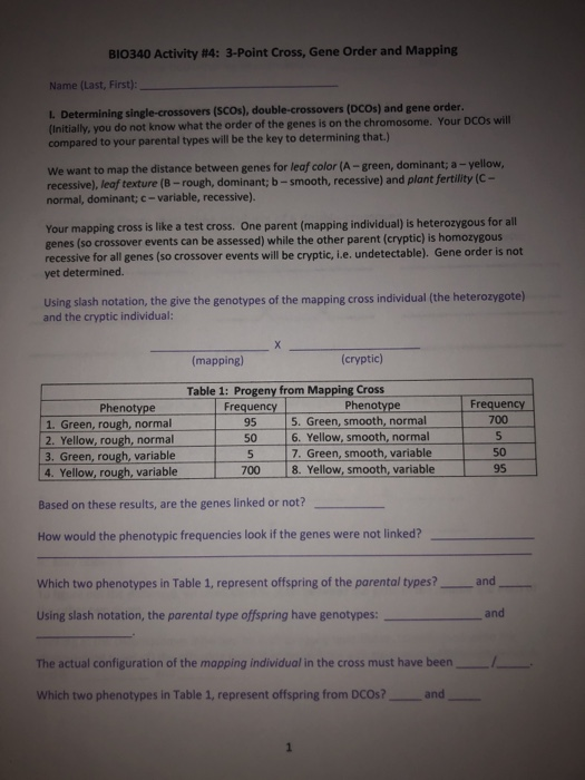 Solved BIO340 Activity #14: 3-Point Cross, Gene Order And | Chegg.com