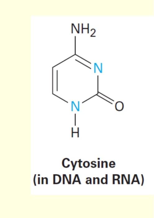 Solved Cytosine (in DNA and RNA) | Chegg.com