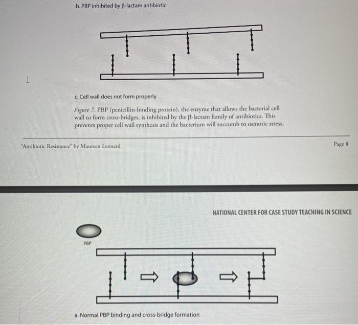 Solved NATIONAL CENTER FOR CASE STUDY TEACHING IN SCIENCE | Chegg.com