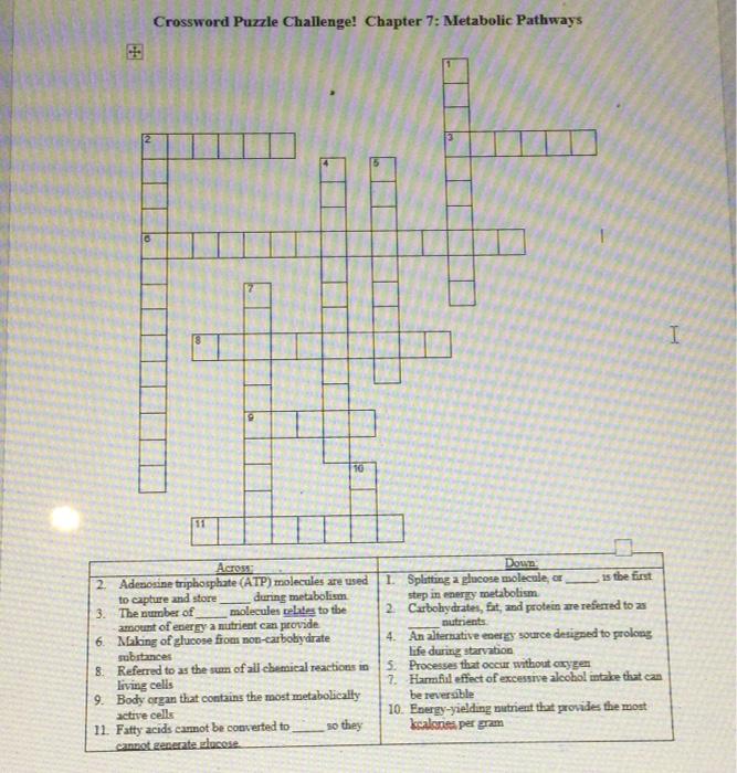 Solved Crossword Puzzle Challenge! Chapter 7: Metabolic | Chegg.com