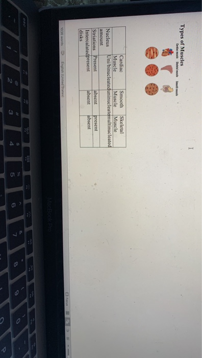 Solved Types Of Muscles Cardiac Smooth Skeletal Muscle Chegg Solved Types Of Muscles Cardiac Smooth Skeletal Muscle Chegg