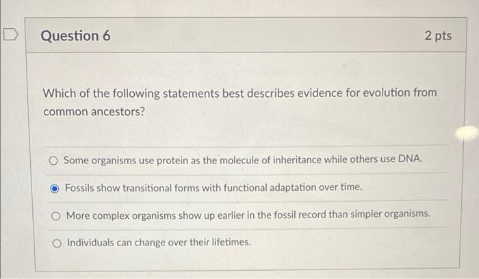 Solved Question 6 2 pts Which of the following statements 