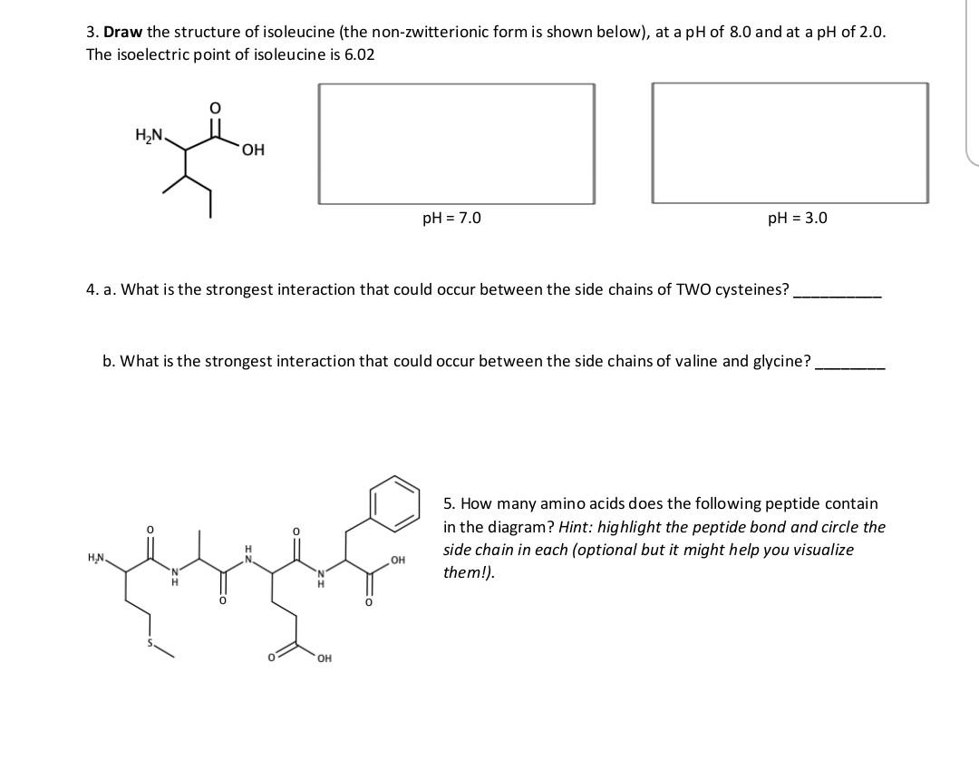 Solved 3. Draw the structure of isoleucine (the | Chegg.com