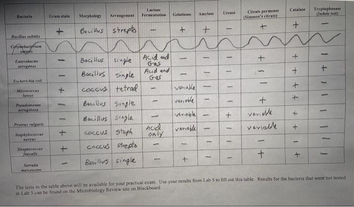 Solved please help make two dichotomous flowcharts for the | Chegg.com