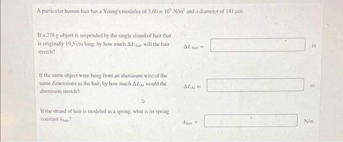 Human hair 2024 young's modulus