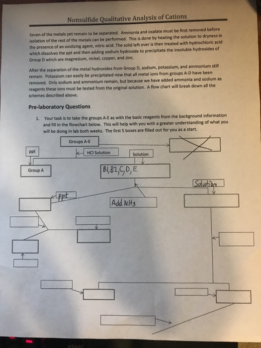 Solved Fill out the following flowchart using the couple | Chegg.com