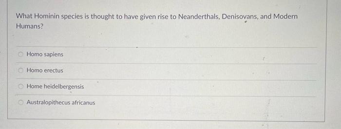 Solved What Hominin species is thought to have given rise to | Chegg.com