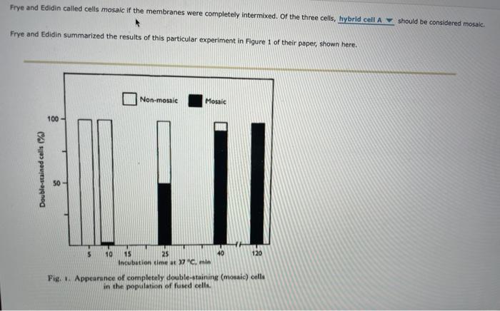 frye and edidin 1970 experiment