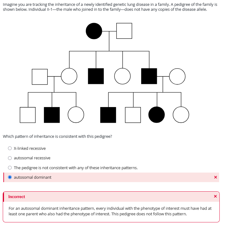 Solved Imagine you are tracking the inheritance of a newly | Chegg.com