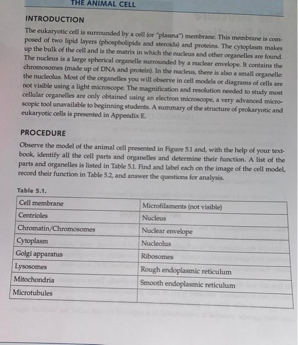 Реферат: Cells Essay Research Paper NucleusCell WallCell Membrane