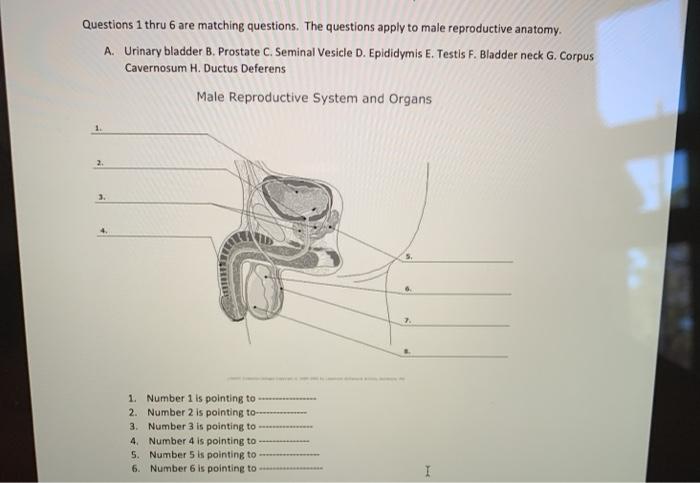 Solved Questions 1 thru 6 are matching questions. The | Chegg.com