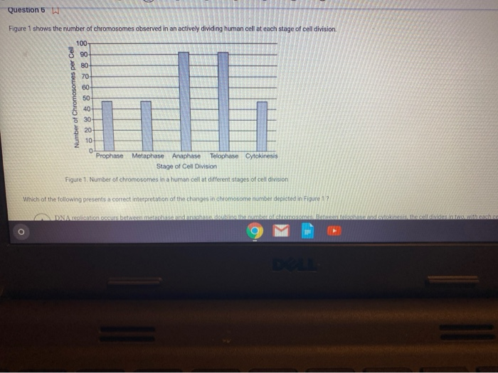 Solved Question 6 Figure 1 shows the number of chromosomes | Chegg.com
