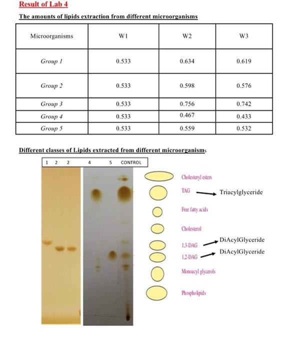 Solved I need a page of discussion for a lab report (