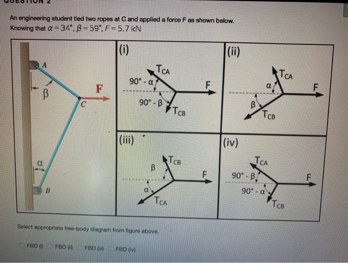 Solved An Engineering Student Tied Two Ropes At C And | Chegg.com