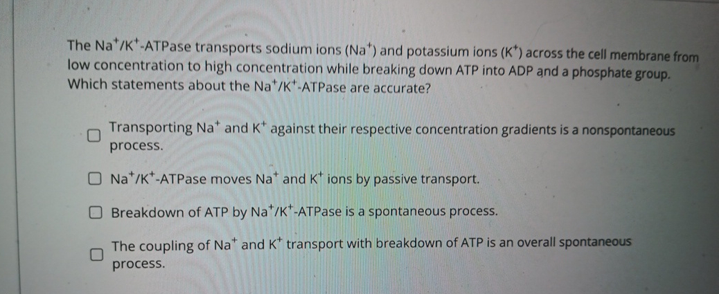 The Na+K+-ATPase transports sodium ions ( Na+ | Chegg.com