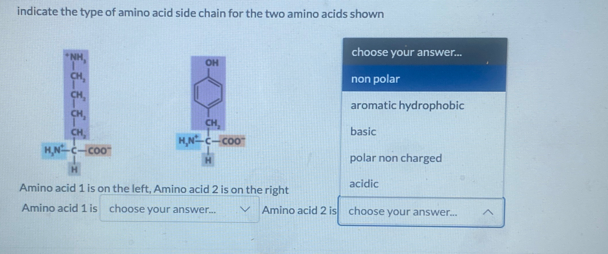 Solved indicate the type of amino acid side chain for the | Chegg.com