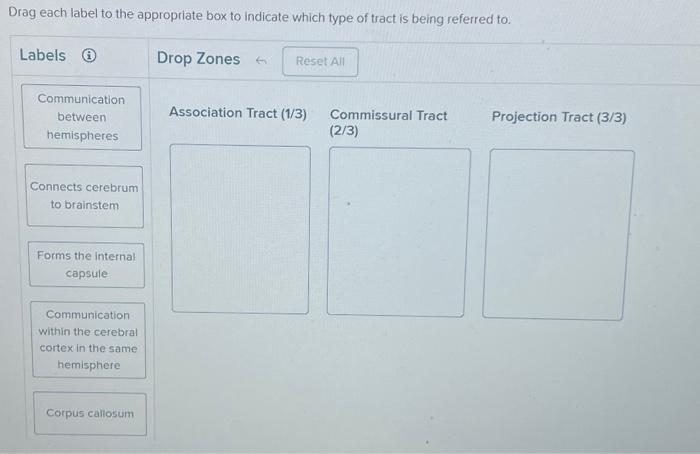 Solved Drag each label to the appropriate box to indicate | Chegg.com