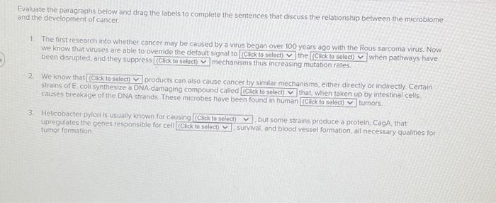 Solved Evaluate the paragraphs below and drag the labels to | Chegg.com