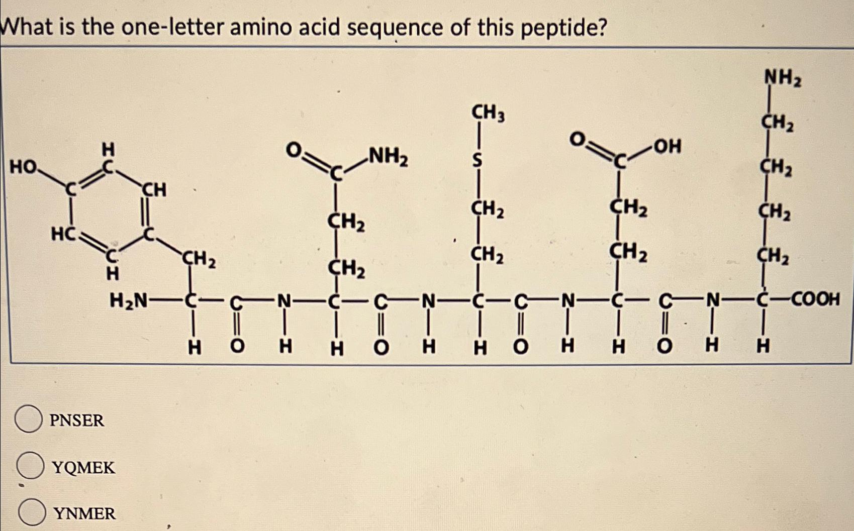 Solved What is the oneletter amino acid sequence of this