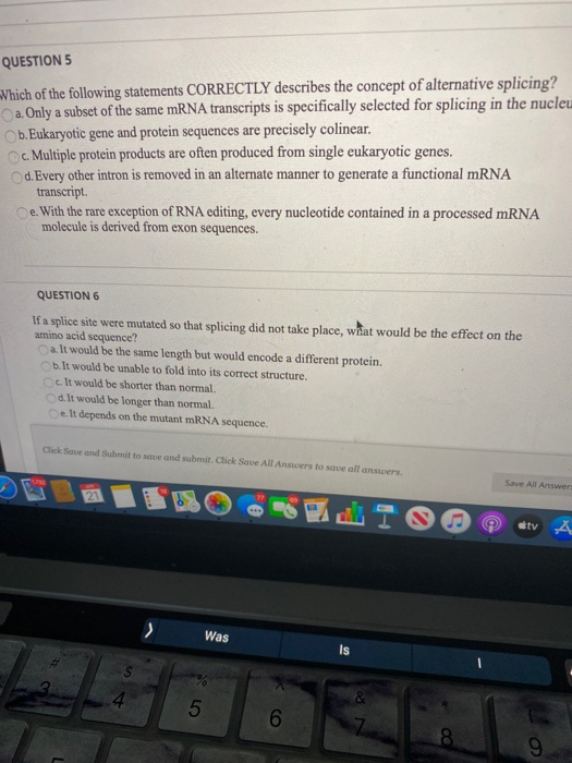 Solved Question 5 Which Of The Following Statements | Chegg.com Solved Question 5 Which Of The Following Statements | Chegg.com