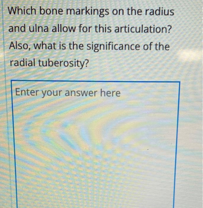 ulna bone markings