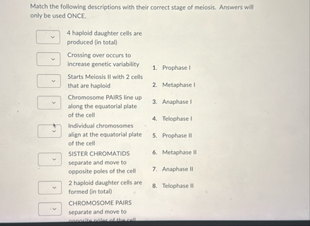 Solved Match the following descriptions with their correct | Chegg.com